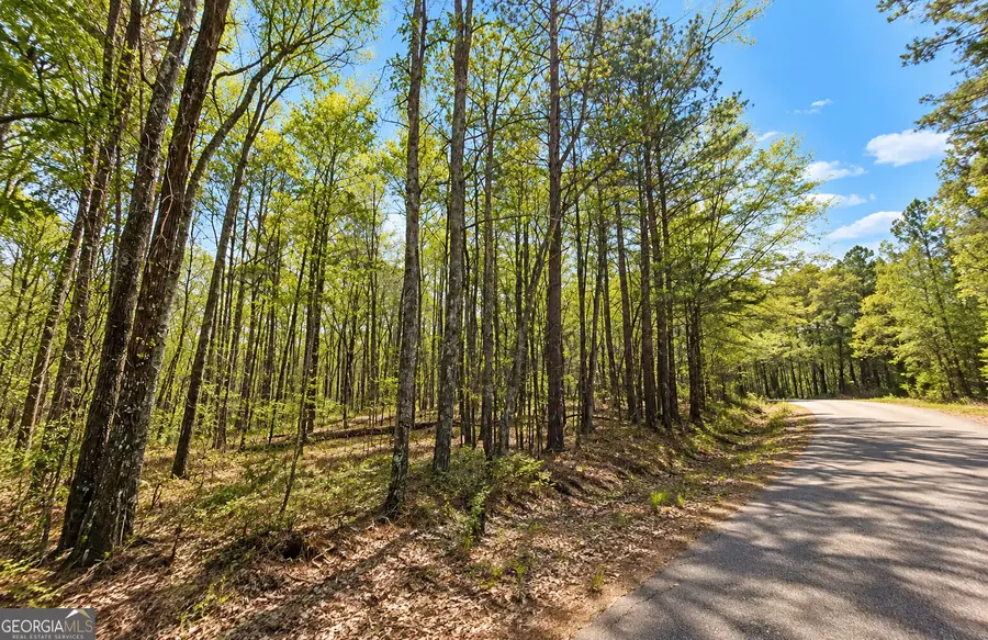 0 Bailey Avenue, Wedowee, AL 36278 - #3