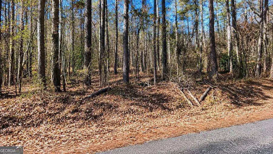 0 Tolbert Road, Temple, GA 30153 - #3