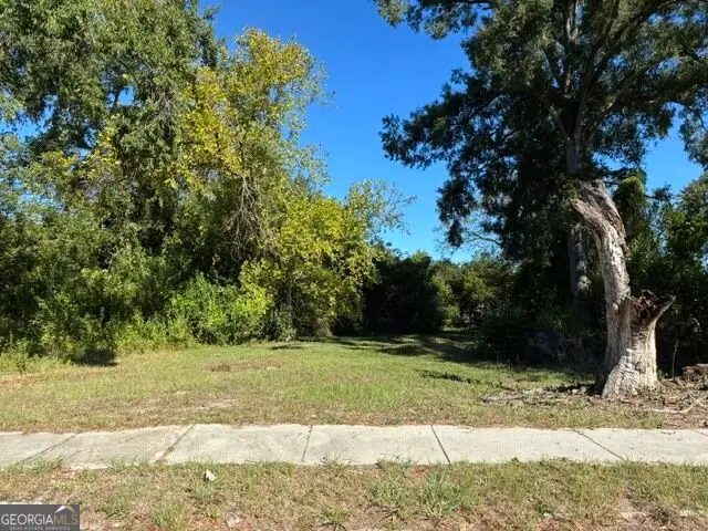 1919 Steiner Avenue, Augusta, GA 30901 - #1