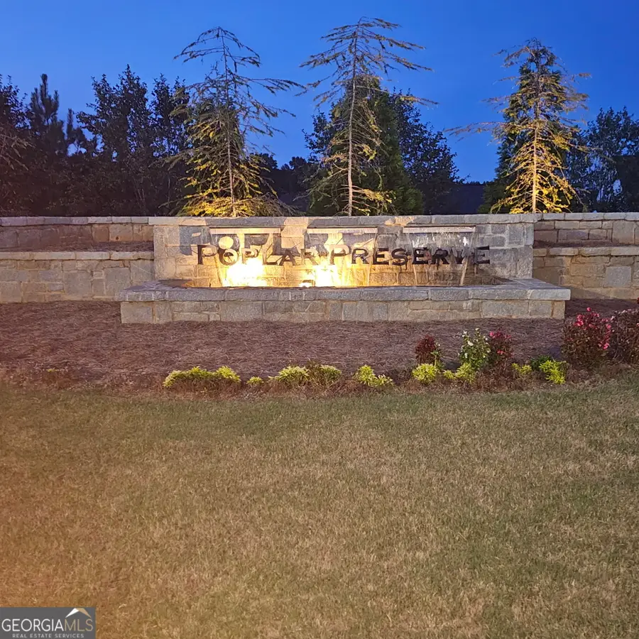 229 Lauritsen Way, Newnan, GA 30265 - #2