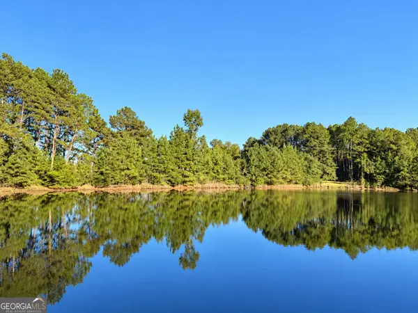 0 Martin Rd., Kite, GA 31049