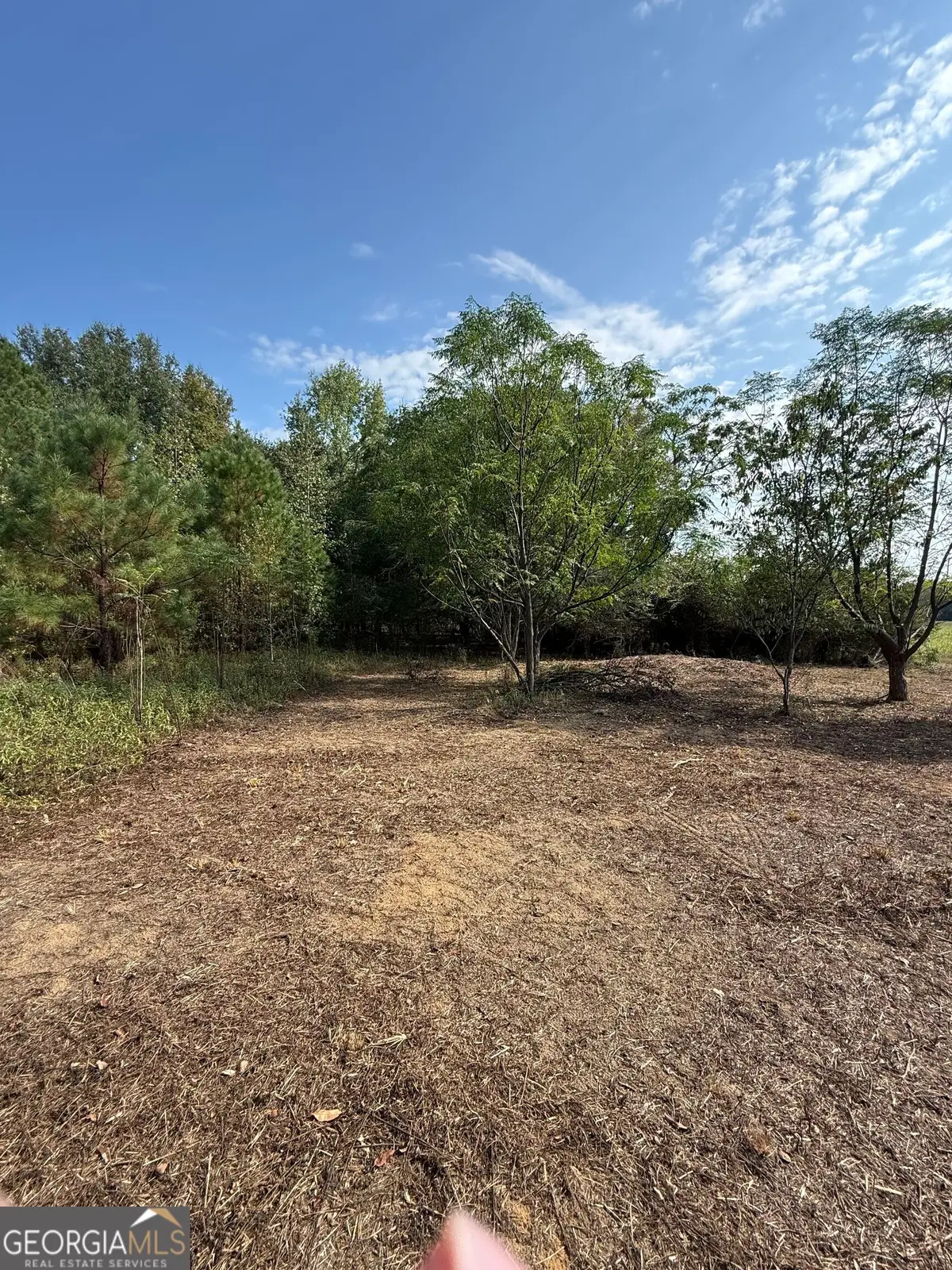 0 S Bartow Rd, Bartow, GA 30413 - #1