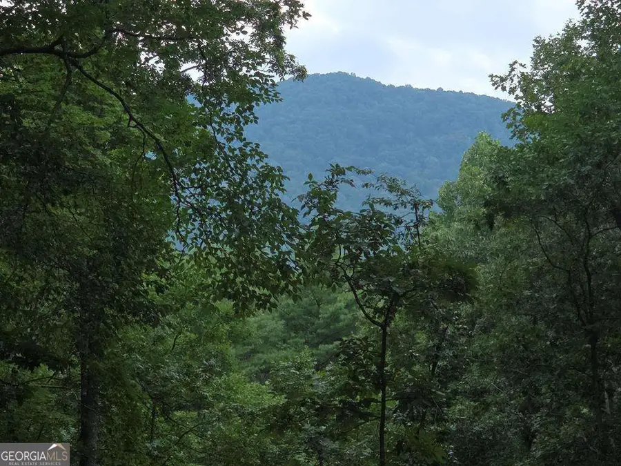 150 Trail Tree Drive #3 & 4A, Blairsville, GA 30512 - #2