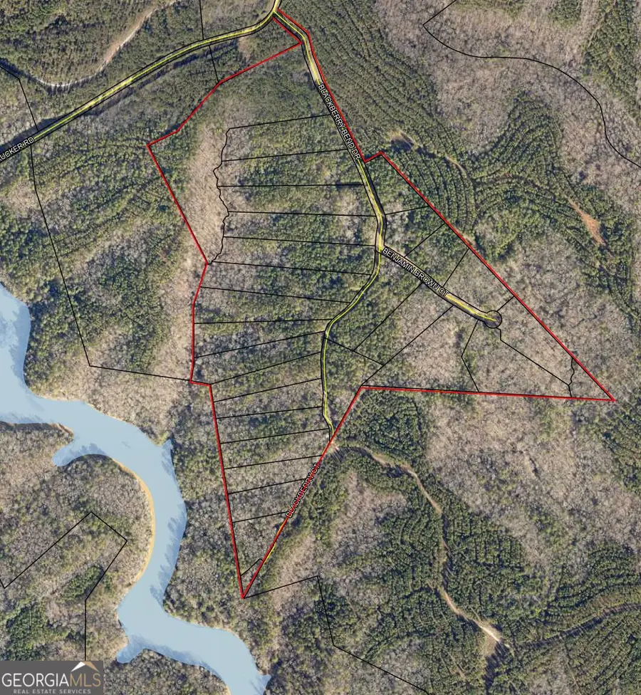 LOT 25 Benjamin Brown Court, Elberton, GA 30635 - #2