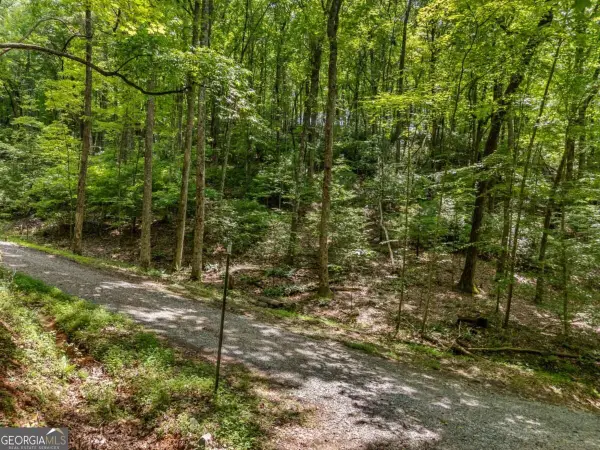 0 Jagger Run, Blue Ridge, GA 30513