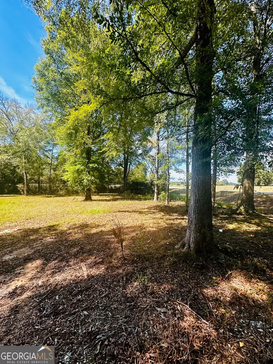 0 Newnan Road, Brooks, GA 30205 - #2