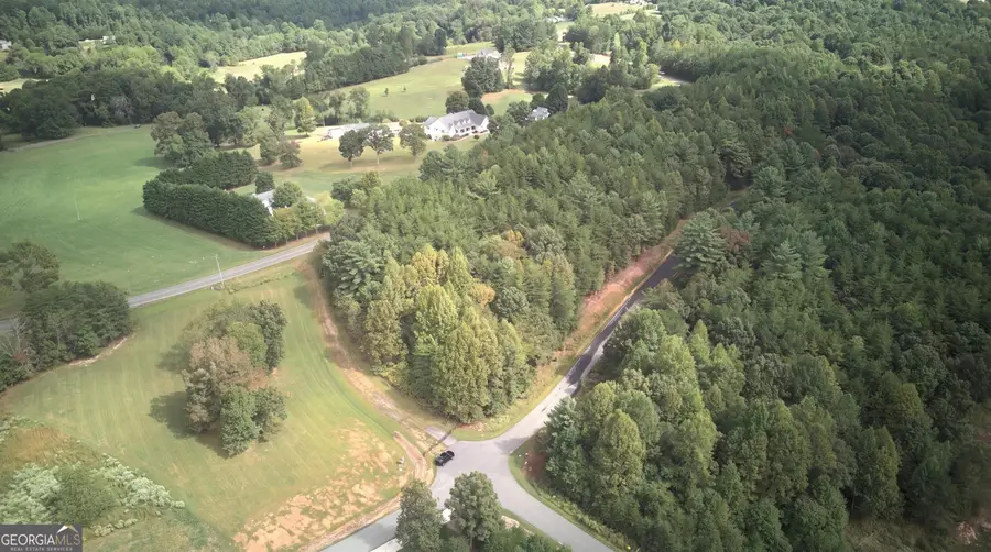 965 Old Owen Drive, Blairsville, GA 30512 - #3