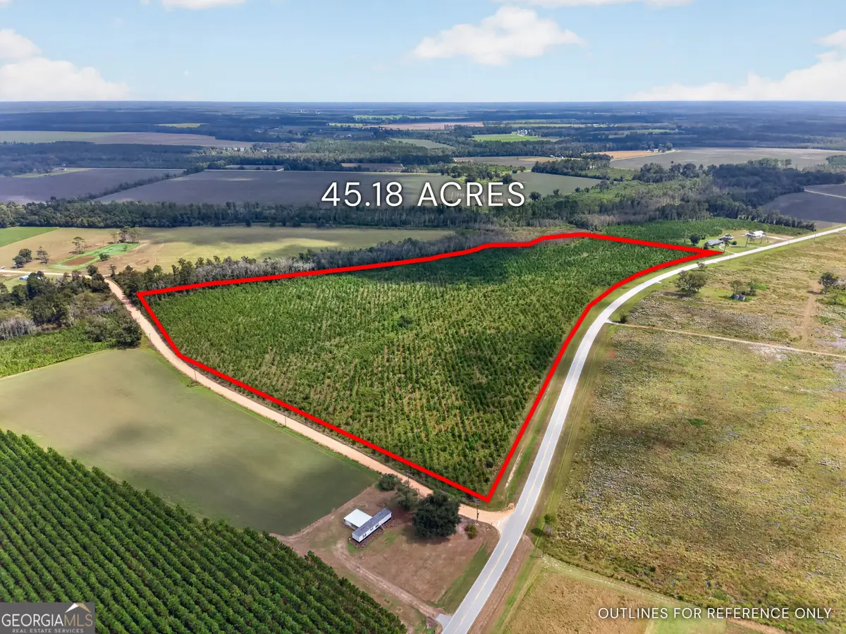 TRACT 2 Highway 203, Blackshear, GA 31516 - #1