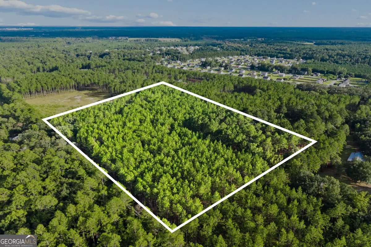 0 Bub Lane, Ellabell, GA 31308 - #1