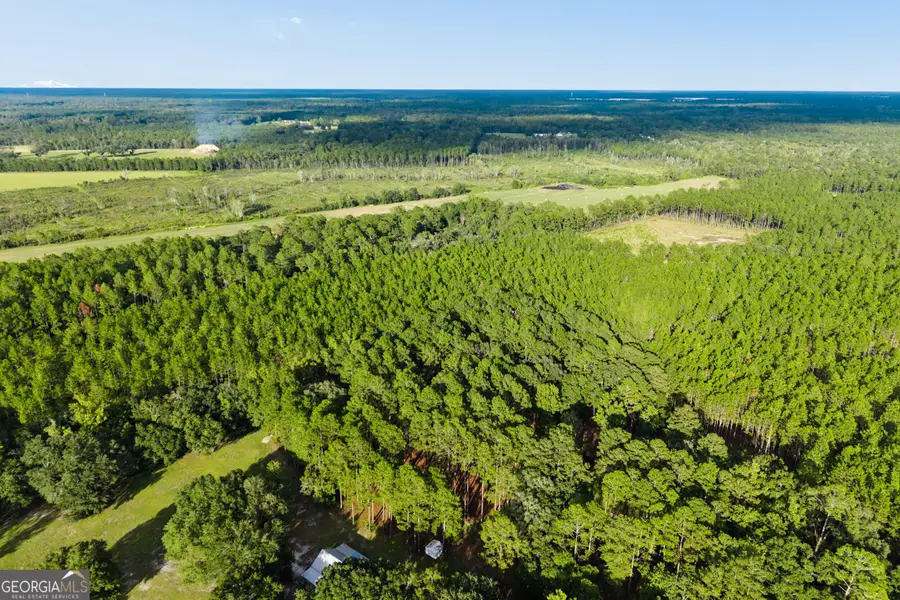 0 Bub Lane, Ellabell, GA 31308 - #2