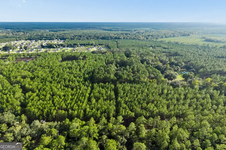 0 Bub Lane, Ellabell, GA 31308 - #3
