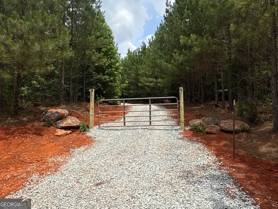 132 ACRES Carlisle Gap Rd, Woodland, GA 31836 - #2