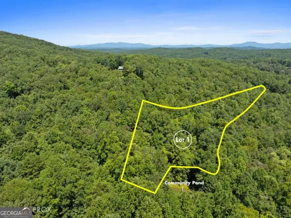 LOT 1 Natures Way #1, Blue Ridge, GA 30513