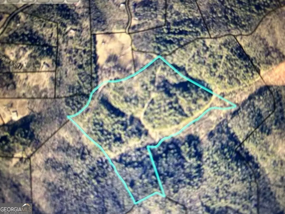 40 ACRE Valley Lake Road, Mineral Bluff, GA 30559 - #1