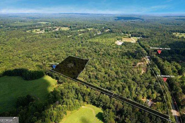 7704 Georgia Highway 100, Buchanan, GA 30113