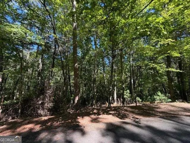305 Seneca Drive, Ellijay, GA 30540 - #1
