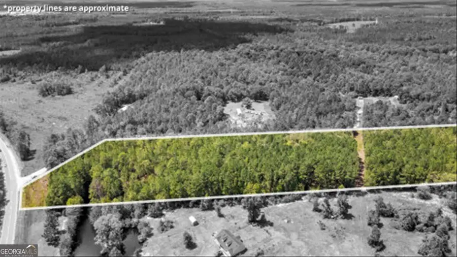 15.5 AC Elim Church Road Ne, Ludowici, GA 31316 - #2