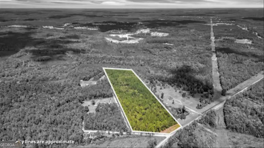 15.5 AC Elim Church Road Ne, Ludowici, GA 31316 - #3