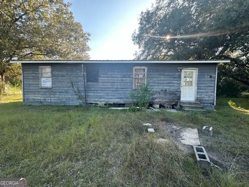 294 Clear Lake Road, Newton, GA 39870 - #1