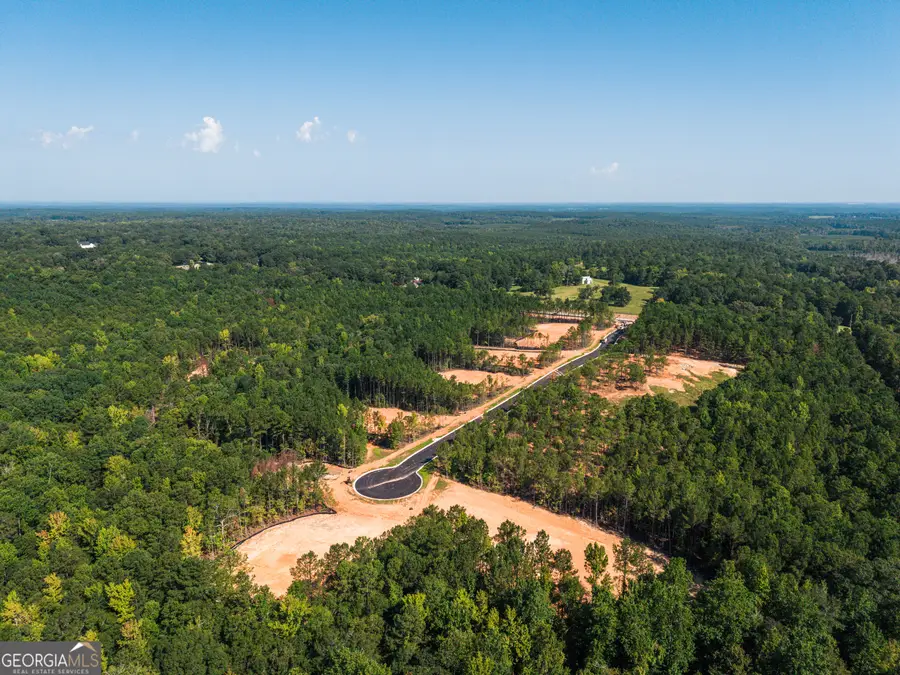 LOT 12 High Pointe, Lagrange, GA 30241 - #3