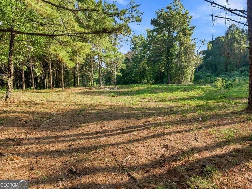 283 Leo Taylor Lane, Ball Ground, GA 30107 - #1