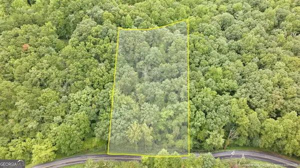 0 Jim Wallace Ln, Clayton, GA 30525