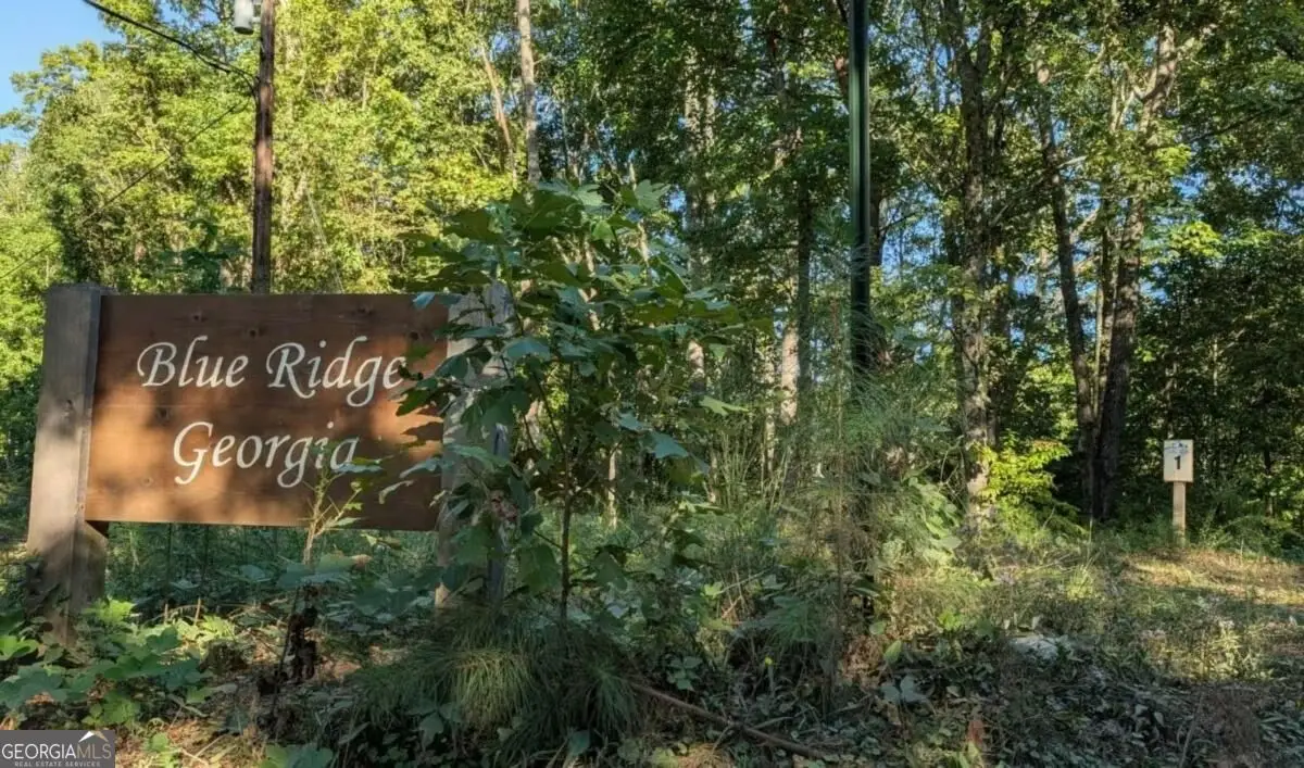 LOT 1 White Oak Circle, Blue Ridge, GA 30513 - #1