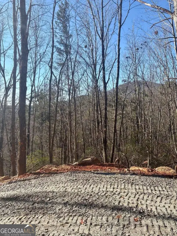 28 B Sal Mountain Way, Sautee Nacoochee, GA 30571