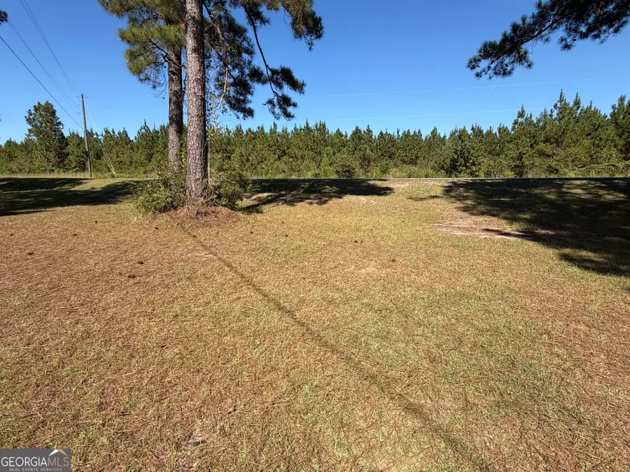 0 Edna Moore Road, Eastman, GA 31023 - #3