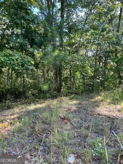 LTS 61 & 62 Honeysuckle Way, Ellijay, GA 30540 - #3