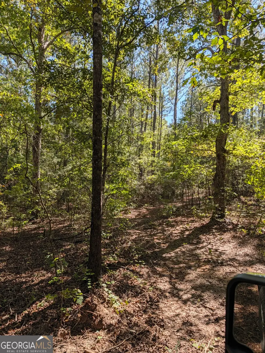 0 CHAPPELL MILL Chappell Mill Road, Milner, GA 30257 - #2