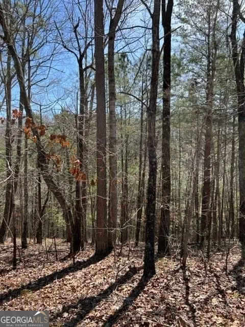 LT 4 Hunters Ridge, Ellijay, GA 30540