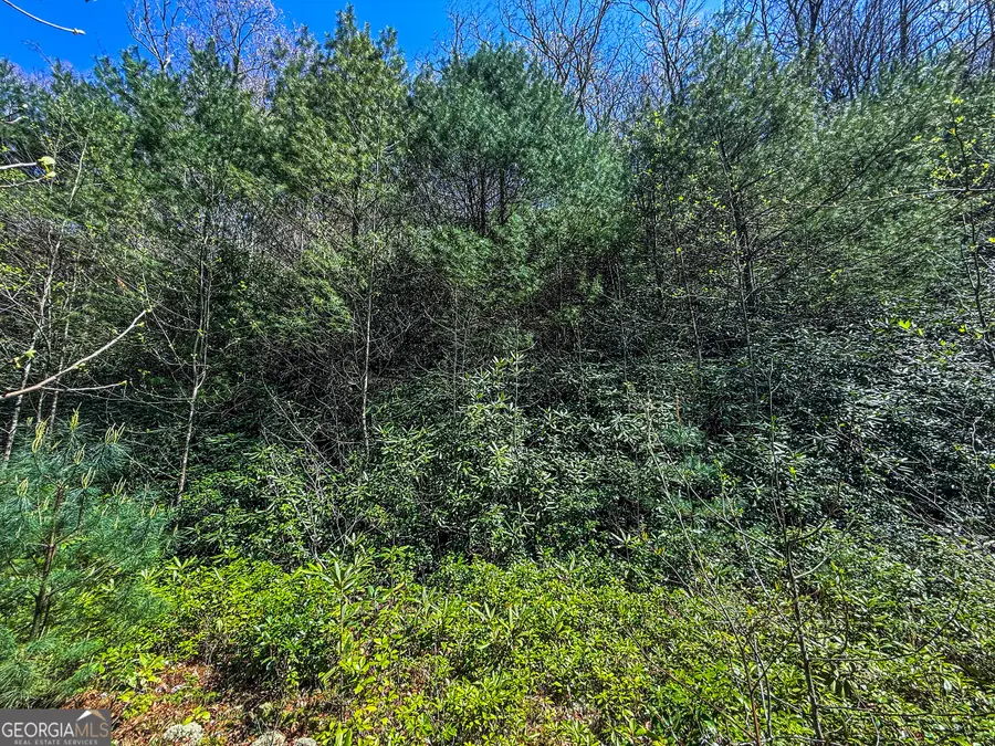 TR 5 Outback Lane, Rabun Gap, GA 30568 - #2