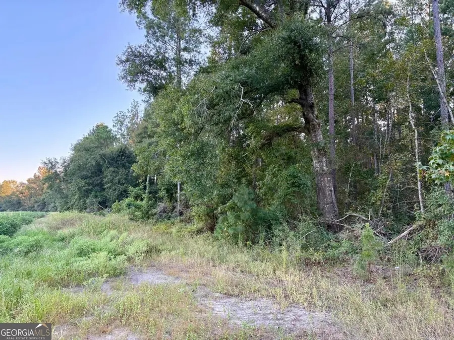 0 Old Moore Road #2, Portal, GA 30450 - #3