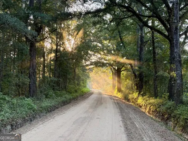 0 Old Moore Road #3, Portal, GA 30450