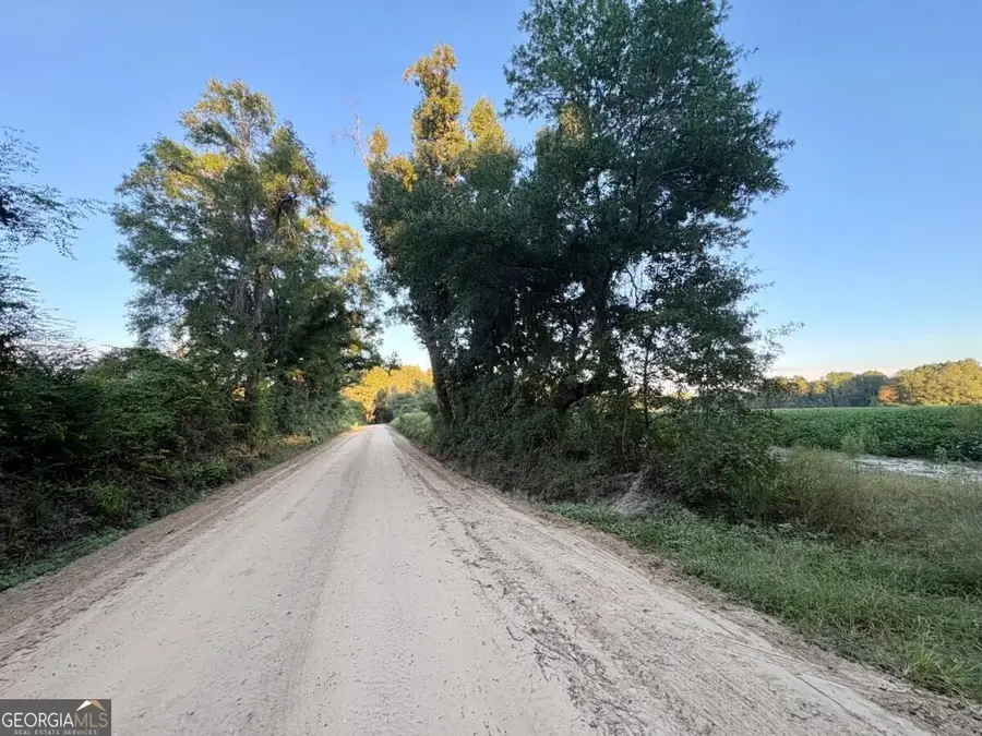 0 Old Moore Road #5, Portal, GA 30450 - #3