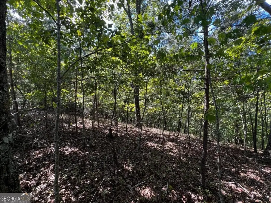 1407 Foxhound Trail Ne, Ranger, GA 30734 - #3