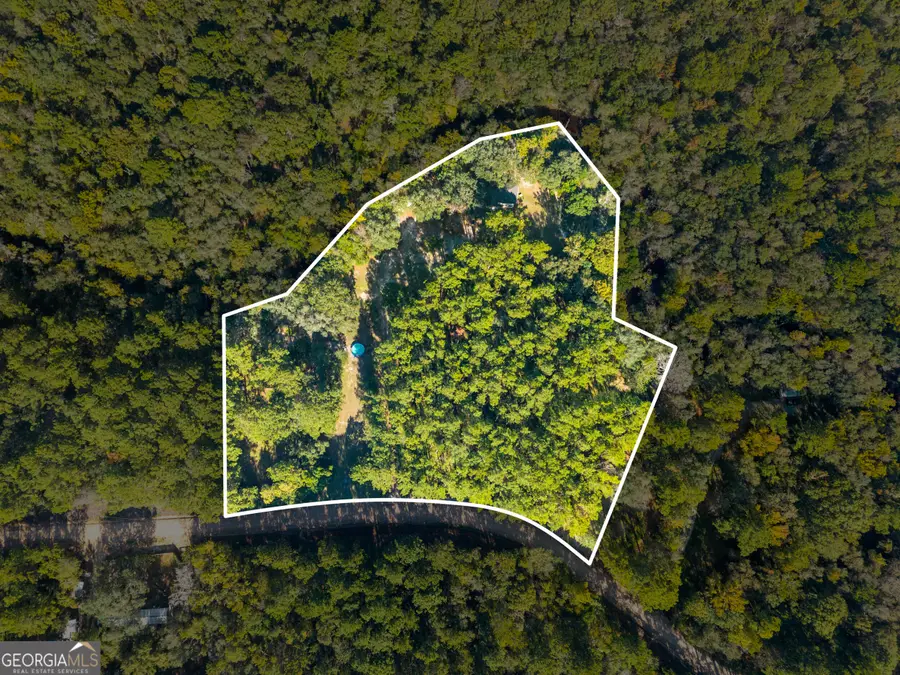 119 Lotts Creek Road, Claxton, GA 30417 - #2