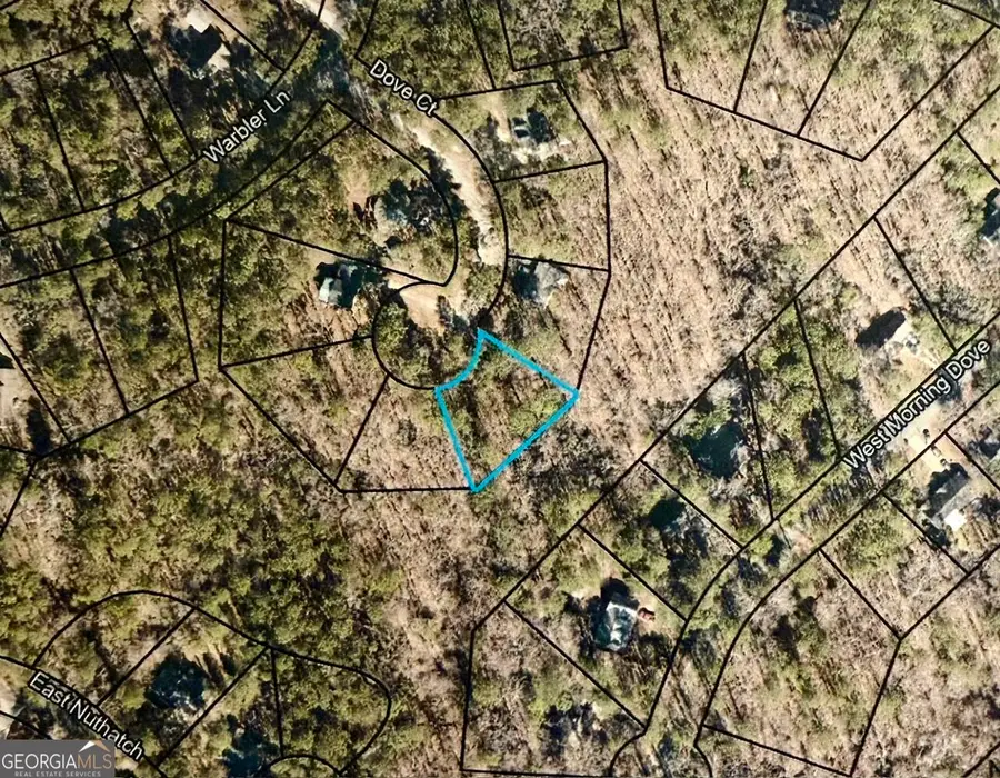 0 Dove Court #LOT 113, Monticello, GA 31064 - #2