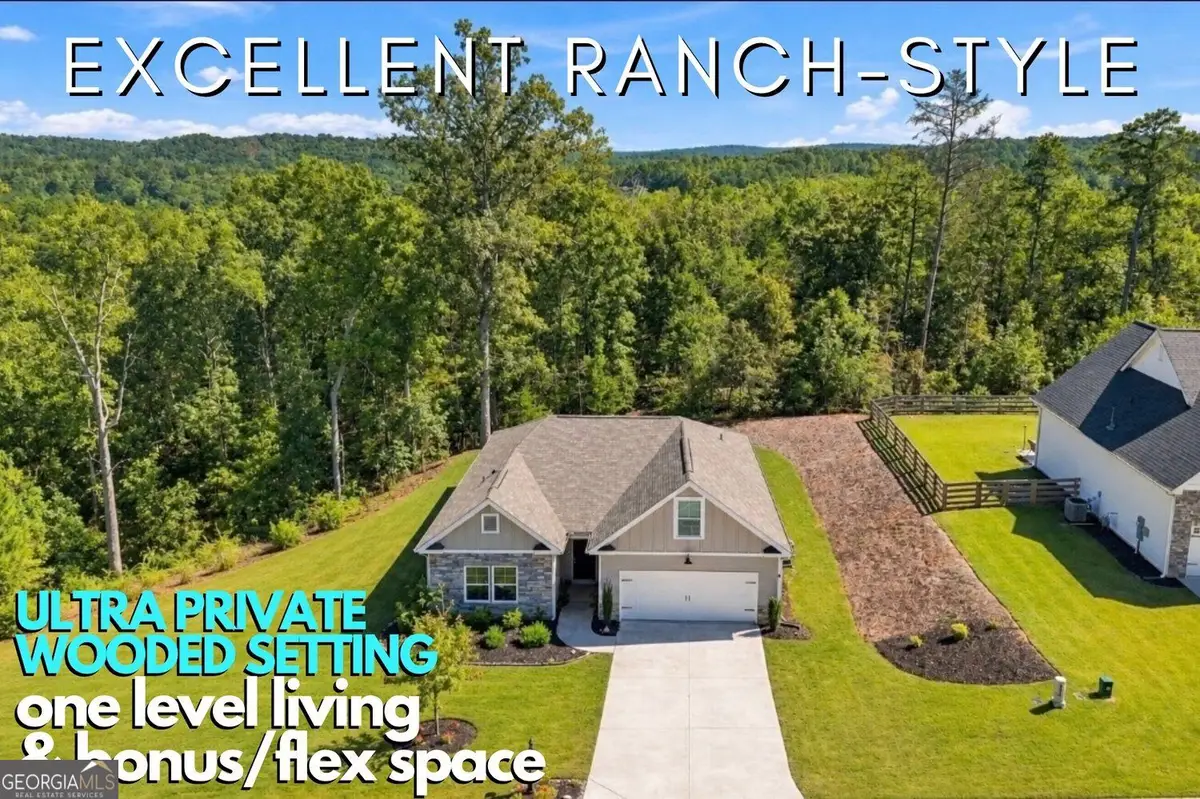 437 Tom Avery Drive, Ball Ground, GA 30107 - #1