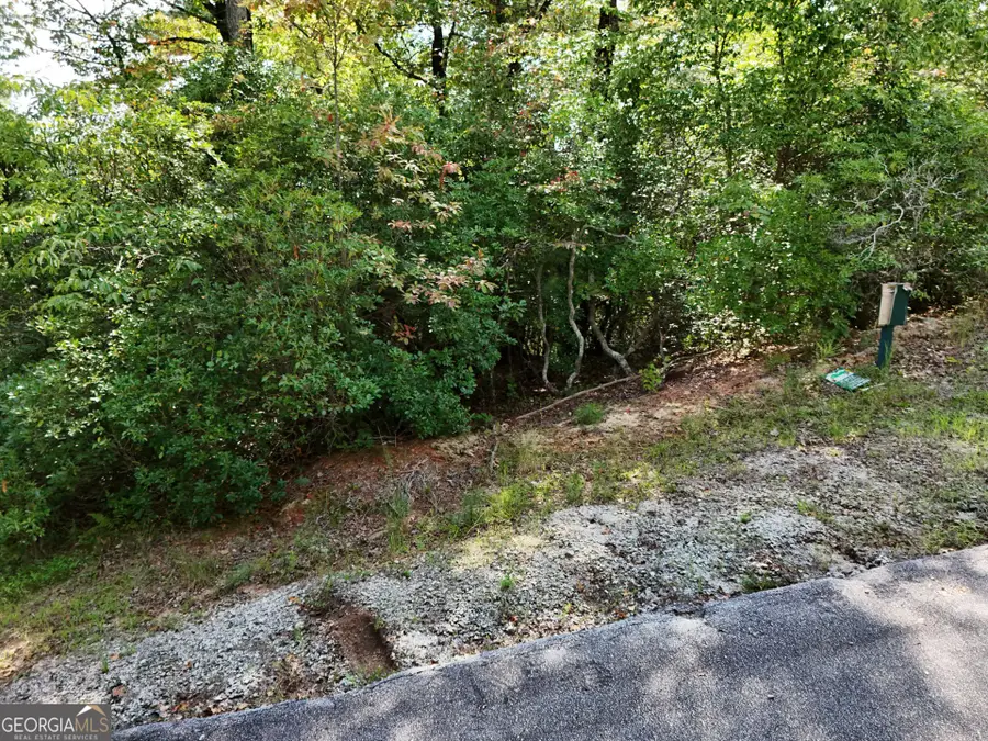LOT 119 EE Brown Hawk Drive, Clayton, GA 30525 - #2