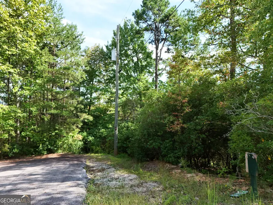 LOT 119 EE Brown Hawk Drive, Clayton, GA 30525 - #3