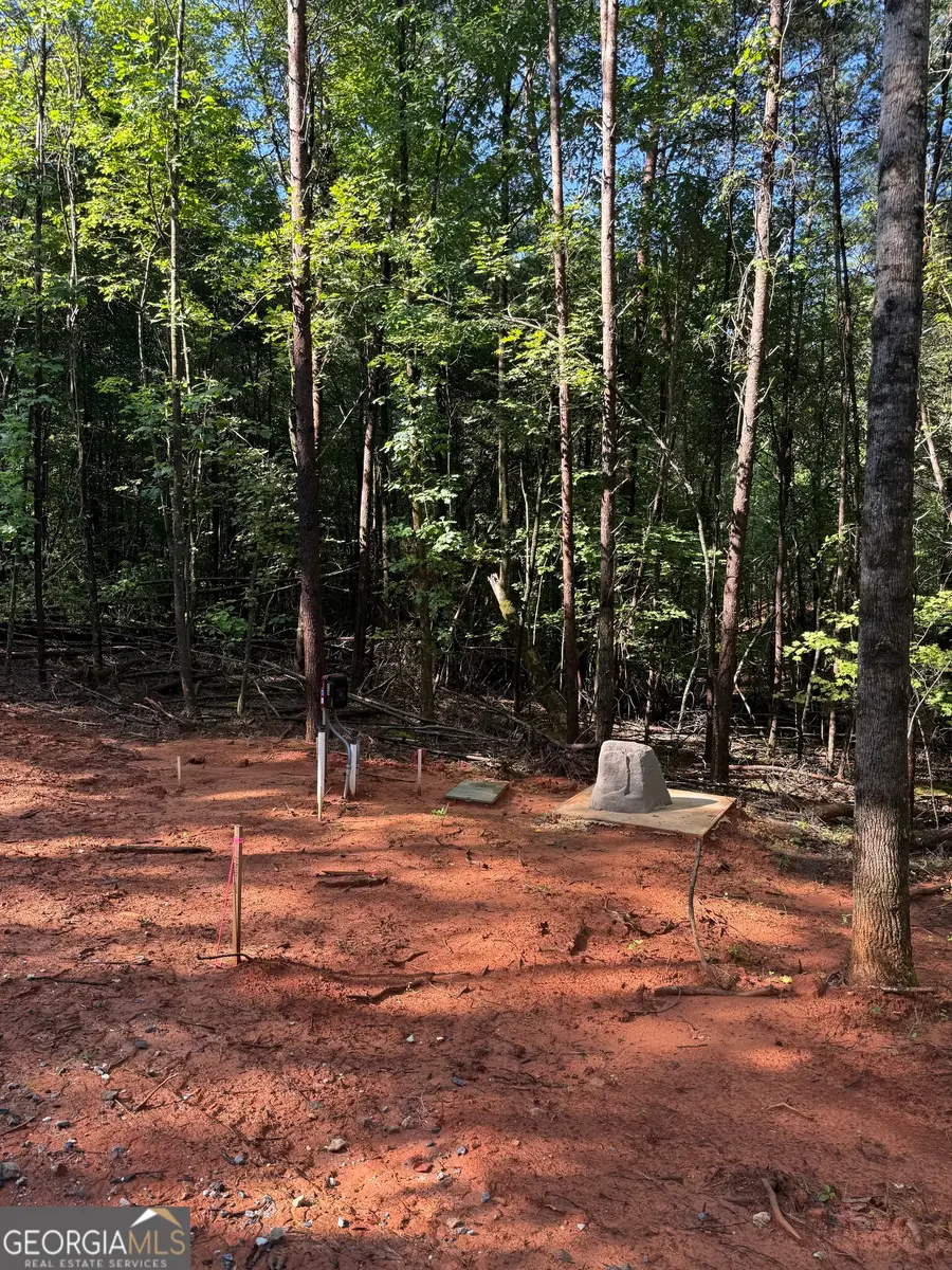 LOT 2 Helipad Road, Sautee Nacoochee, GA 30571 - #2