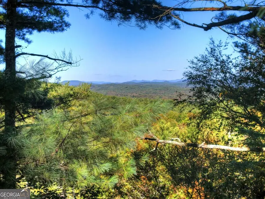 LT 123 Bell Camp Ridge Road, Blue Ridge, GA 30513 - #3