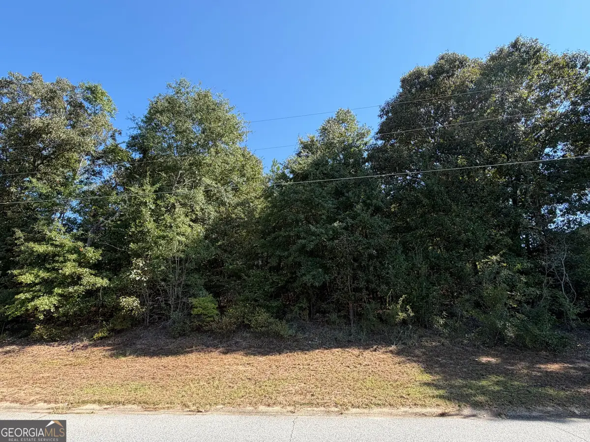 100 Dogwood Glen Drive, Centerville, GA 31028 - #1