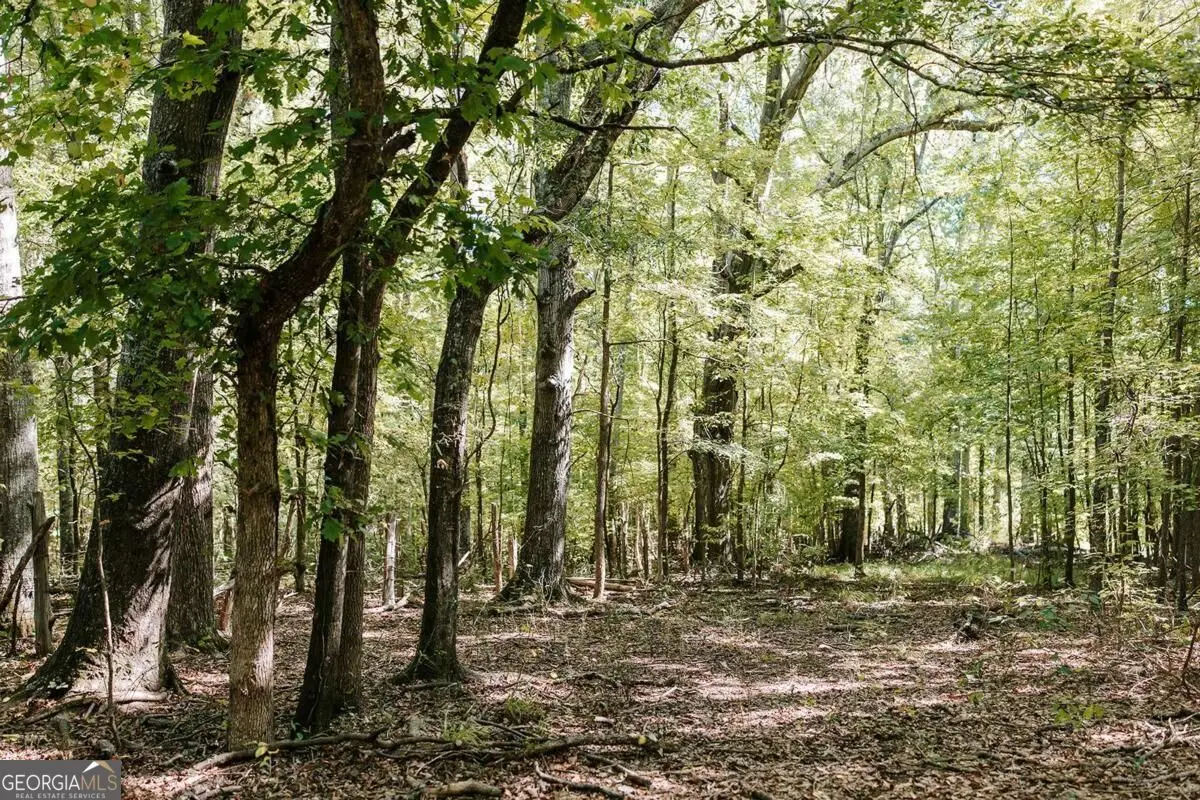 0 Lundburg Road, Washington, GA 30673 - #1