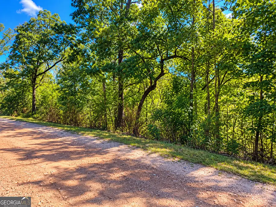0 Luther Drive, Wedowee, AL 36278 - #3