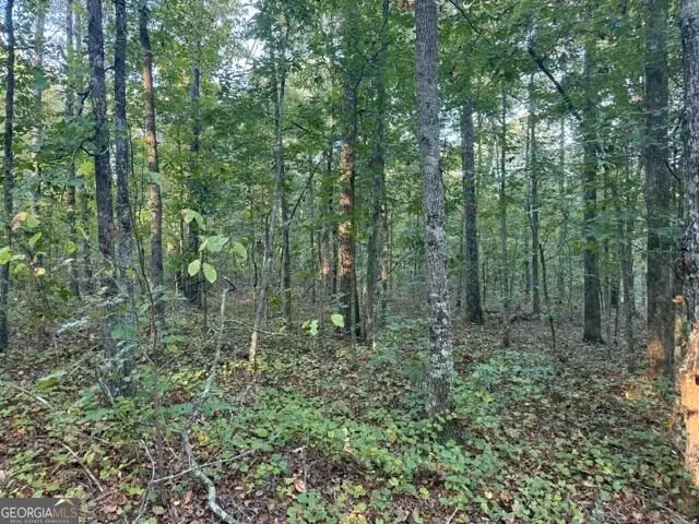 0 Owensby Lane, Adairsville, GA 30103 - #2