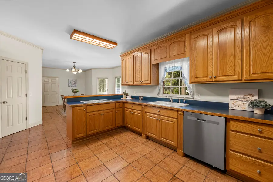 755 Old Hornage Road, Ball Ground, GA 30107 - #2