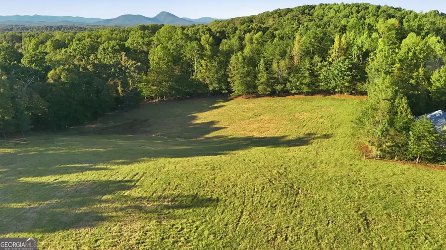 1133 Ricky West Road, Cleveland, GA 30528 - #3